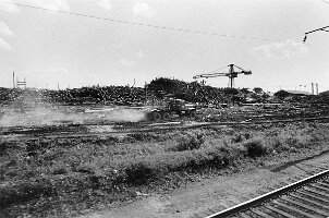 Scierie le long des voies